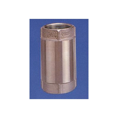 1" SS. CHECK VALVE